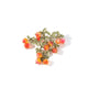 Secret garden Brooch image 0