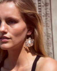 Aurelia image 4