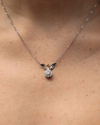 Cupid's Tears image 2